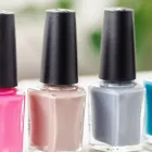 「凛。」について